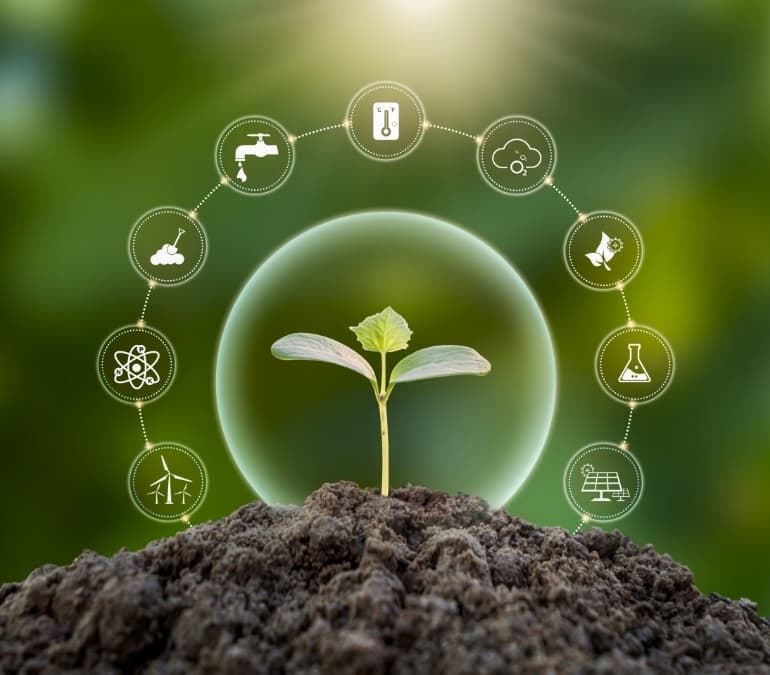 Initial Environmental Examination (IEE) & Environmental and Social Impact Analysis (ESIA) - Feature Image